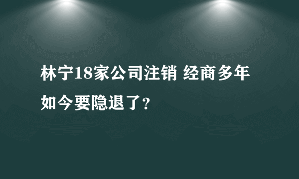 林宁18家公司注销 经商多年如今要隐退了？