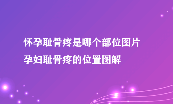 怀孕耻骨疼是哪个部位图片 孕妇耻骨疼的位置图解