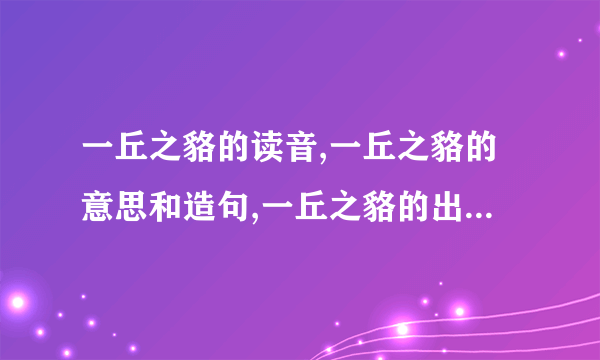 一丘之貉的读音,一丘之貉的意思和造句,一丘之貉的出处和含义