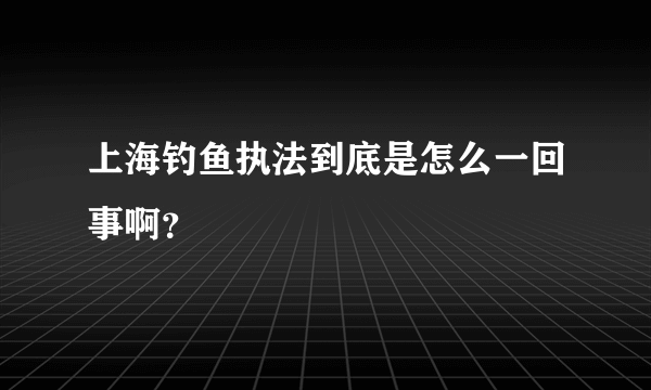 上海钓鱼执法到底是怎么一回事啊？