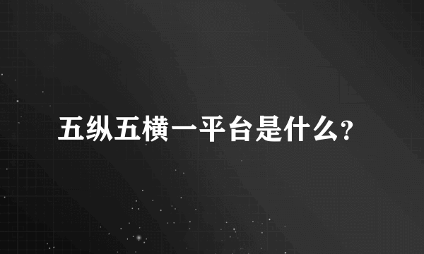 五纵五横一平台是什么？