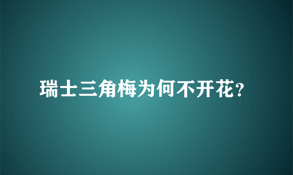 瑞士三角梅为何不开花？