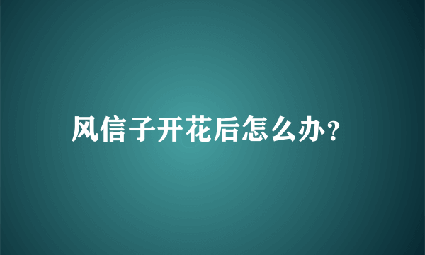 风信子开花后怎么办？