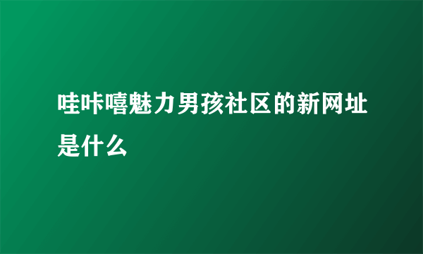 哇咔嘻魅力男孩社区的新网址是什么