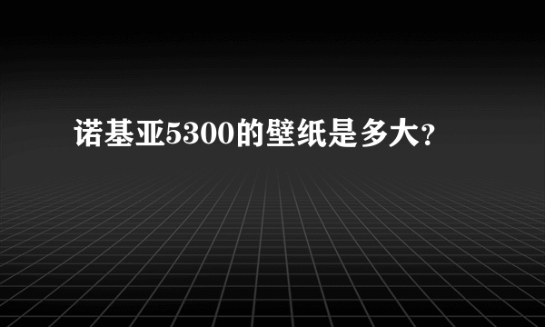 诺基亚5300的壁纸是多大？