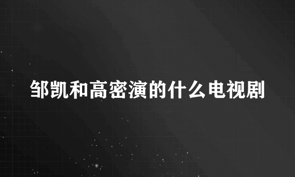 邹凯和高密演的什么电视剧