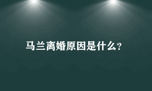 马兰离婚原因是什么？