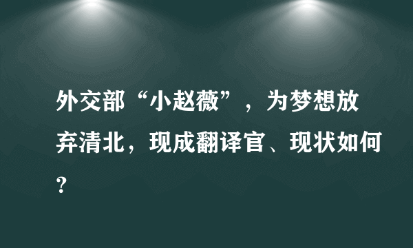 外交部“小赵薇”，为梦想放弃清北，现成翻译官、现状如何？