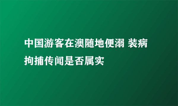 中国游客在澳随地便溺 装病拘捕传闻是否属实