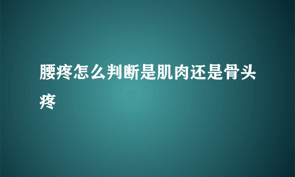 腰疼怎么判断是肌肉还是骨头疼