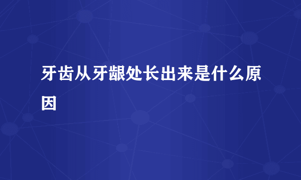 牙齿从牙龈处长出来是什么原因