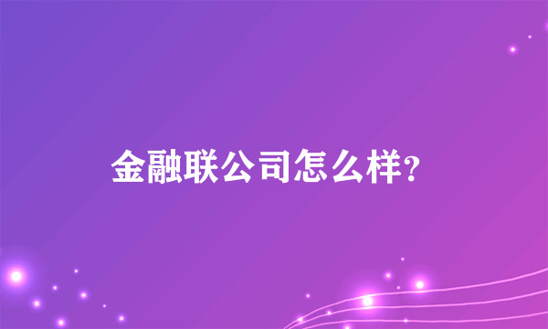 金融联公司怎么样？