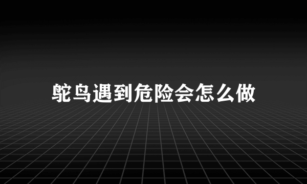 鸵鸟遇到危险会怎么做