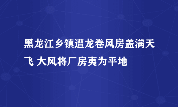 黑龙江乡镇遭龙卷风房盖满天飞 大风将厂房夷为平地