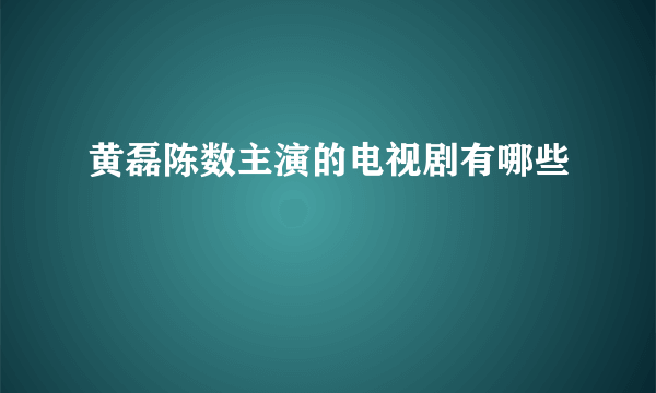 黄磊陈数主演的电视剧有哪些