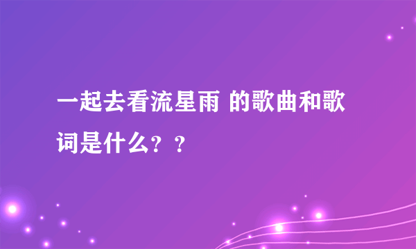 一起去看流星雨 的歌曲和歌词是什么？？