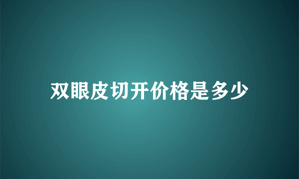 双眼皮切开价格是多少