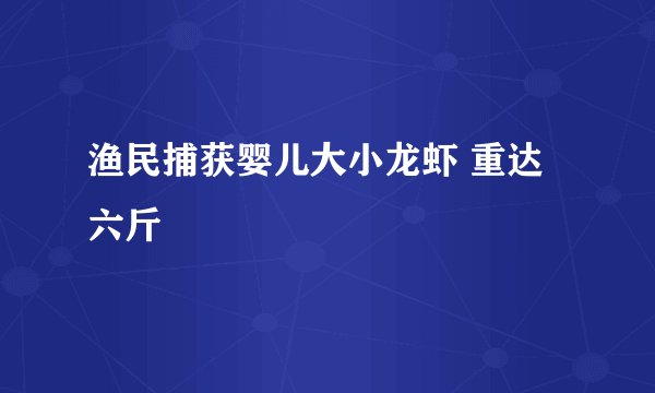 渔民捕获婴儿大小龙虾 重达六斤