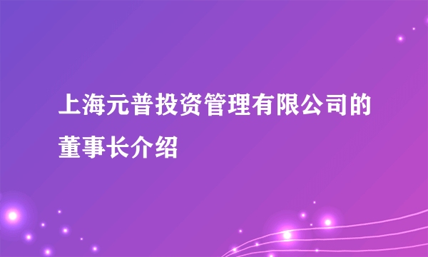 上海元普投资管理有限公司的董事长介绍