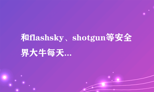 和flashsky、shotgun等安全界大牛每天谈笑风生是什么样的体验？