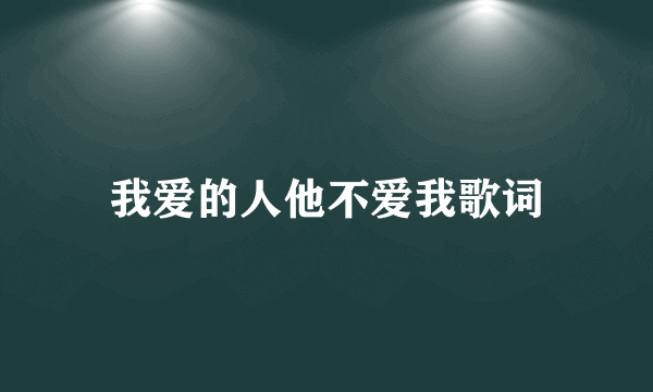 我爱的人他不爱我歌词