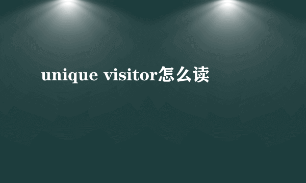 unique visitor怎么读