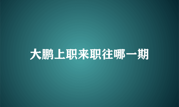 大鹏上职来职往哪一期