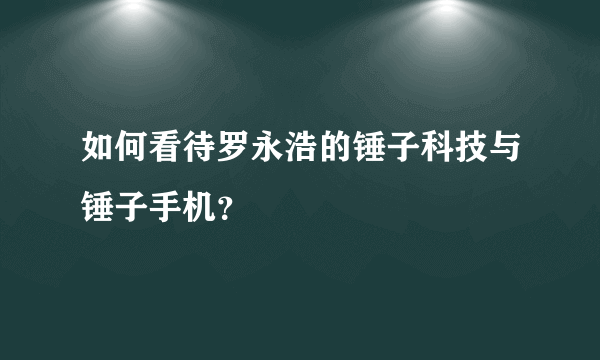 如何看待罗永浩的锤子科技与锤子手机？