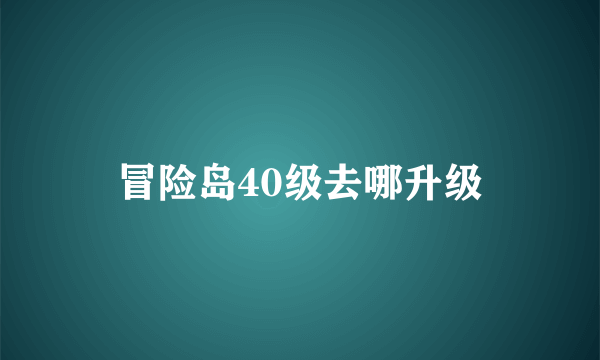 冒险岛40级去哪升级