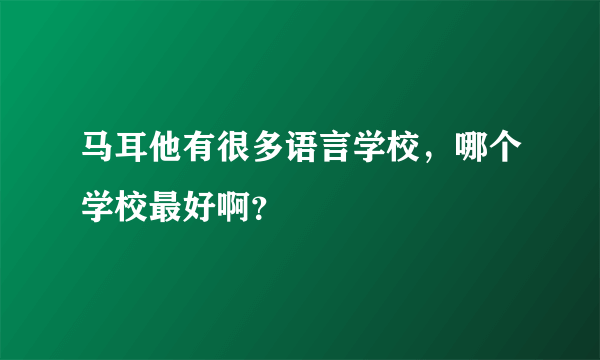 马耳他有很多语言学校，哪个学校最好啊？