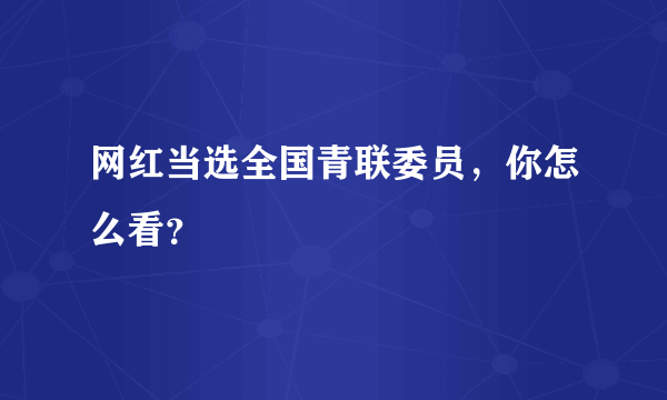 网红当选全国青联委员，你怎么看？