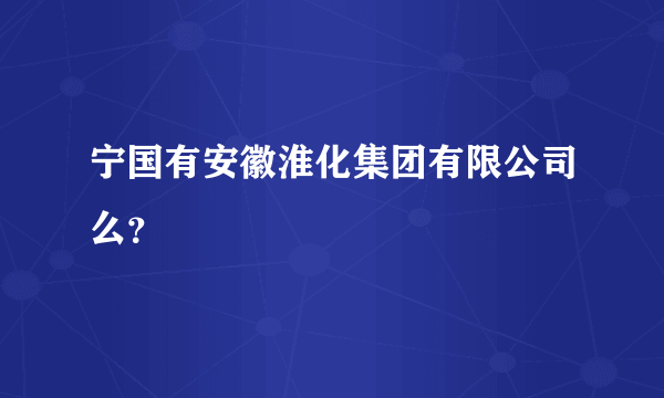 宁国有安徽淮化集团有限公司么？