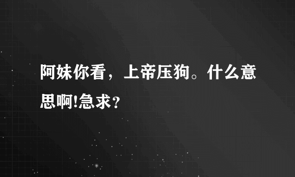 阿妹你看，上帝压狗。什么意思啊!急求？