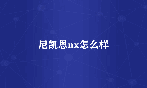 尼凯恩nx怎么样