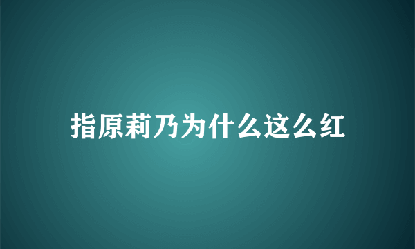 指原莉乃为什么这么红