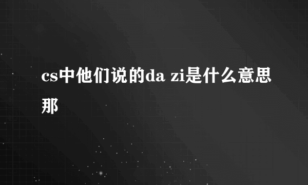 cs中他们说的da zi是什么意思那