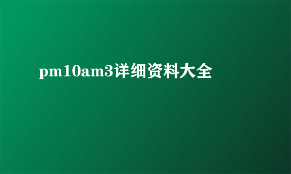 pm10am3详细资料大全