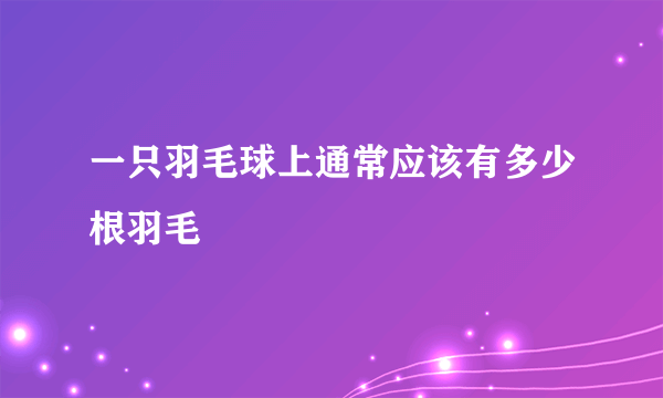 一只羽毛球上通常应该有多少根羽毛