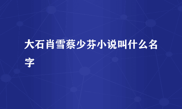 大石肖雪蔡少芬小说叫什么名字