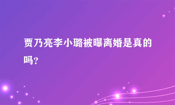 贾乃亮李小璐被曝离婚是真的吗？