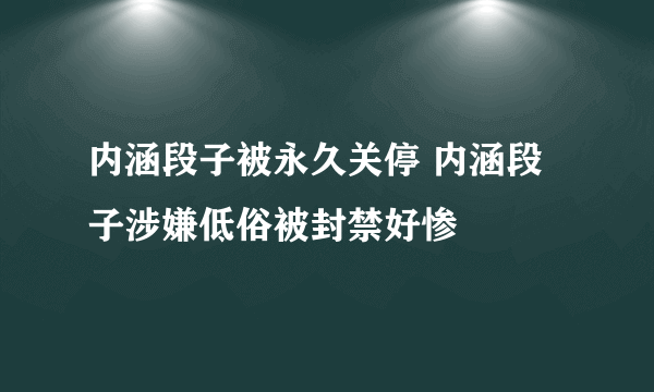 内涵段子被永久关停 内涵段子涉嫌低俗被封禁好惨