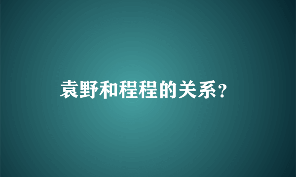 袁野和程程的关系？