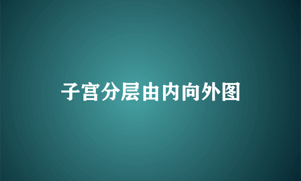 子宫分层由内向外图