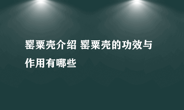 罂粟壳介绍 罂粟壳的功效与作用有哪些