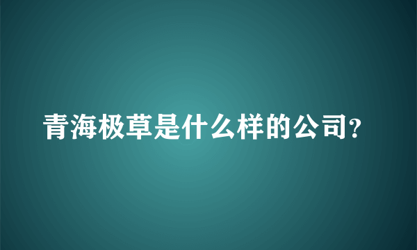 青海极草是什么样的公司？