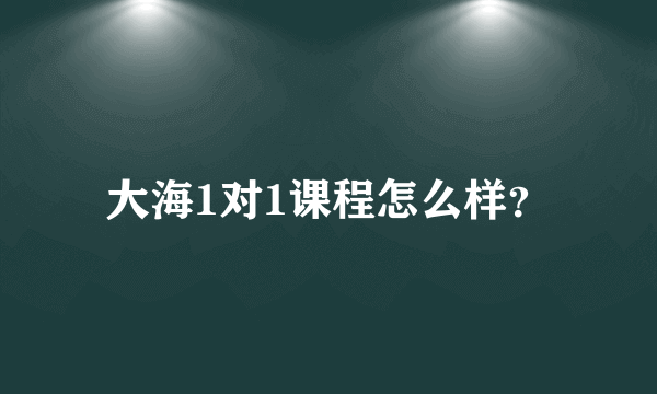 大海1对1课程怎么样？