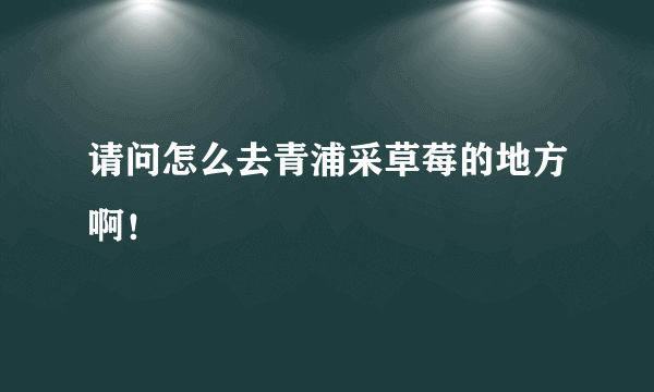 请问怎么去青浦采草莓的地方啊！