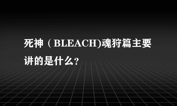 死神（BLEACH)魂狩篇主要讲的是什么？