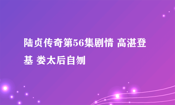 陆贞传奇第56集剧情 高湛登基 娄太后自刎