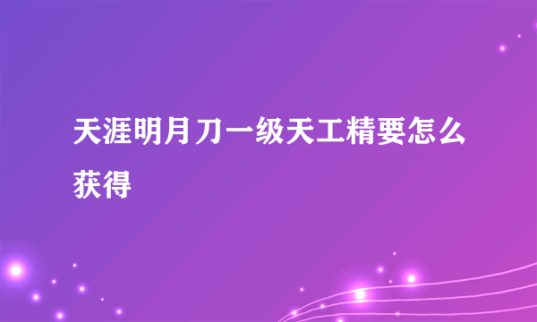 天涯明月刀一级天工精要怎么获得